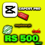 Capcut Pro