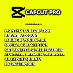 Capcut Pro
