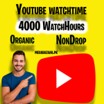 Youtube watchtime(4000 hours)