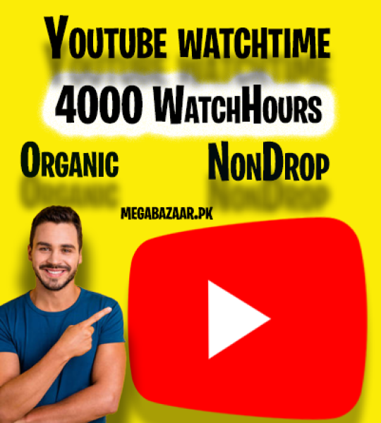 Youtube watchtime(4000 hours)