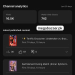 Youtube watchtime(4000 hours)