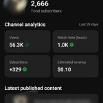 Youtube watchtime(4000 hours)