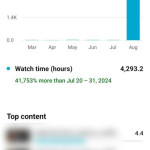 Youtube watchtime(4000 hours)